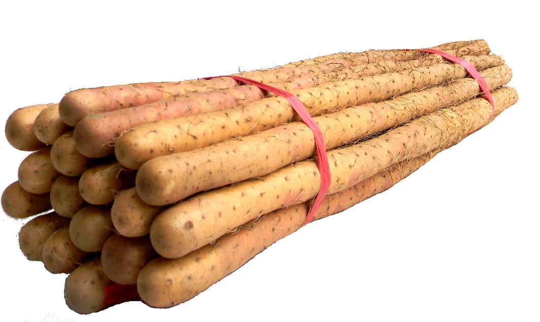 神仙之食怀山药,神仙食物