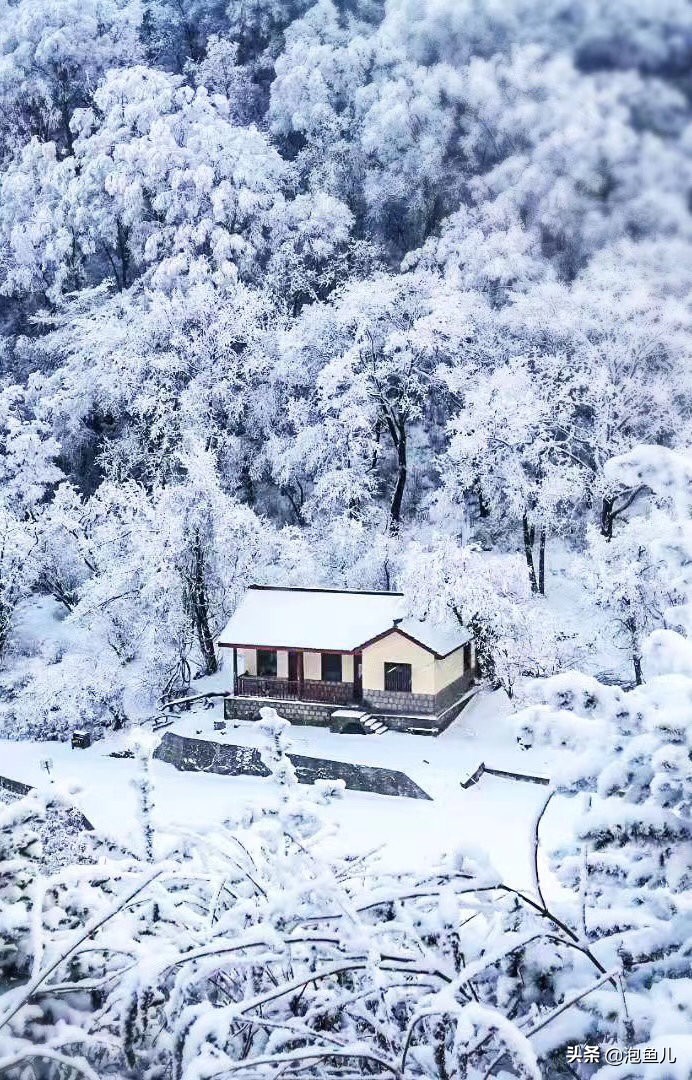 陕西秦岭发现的石头,捡石头下雪了后续