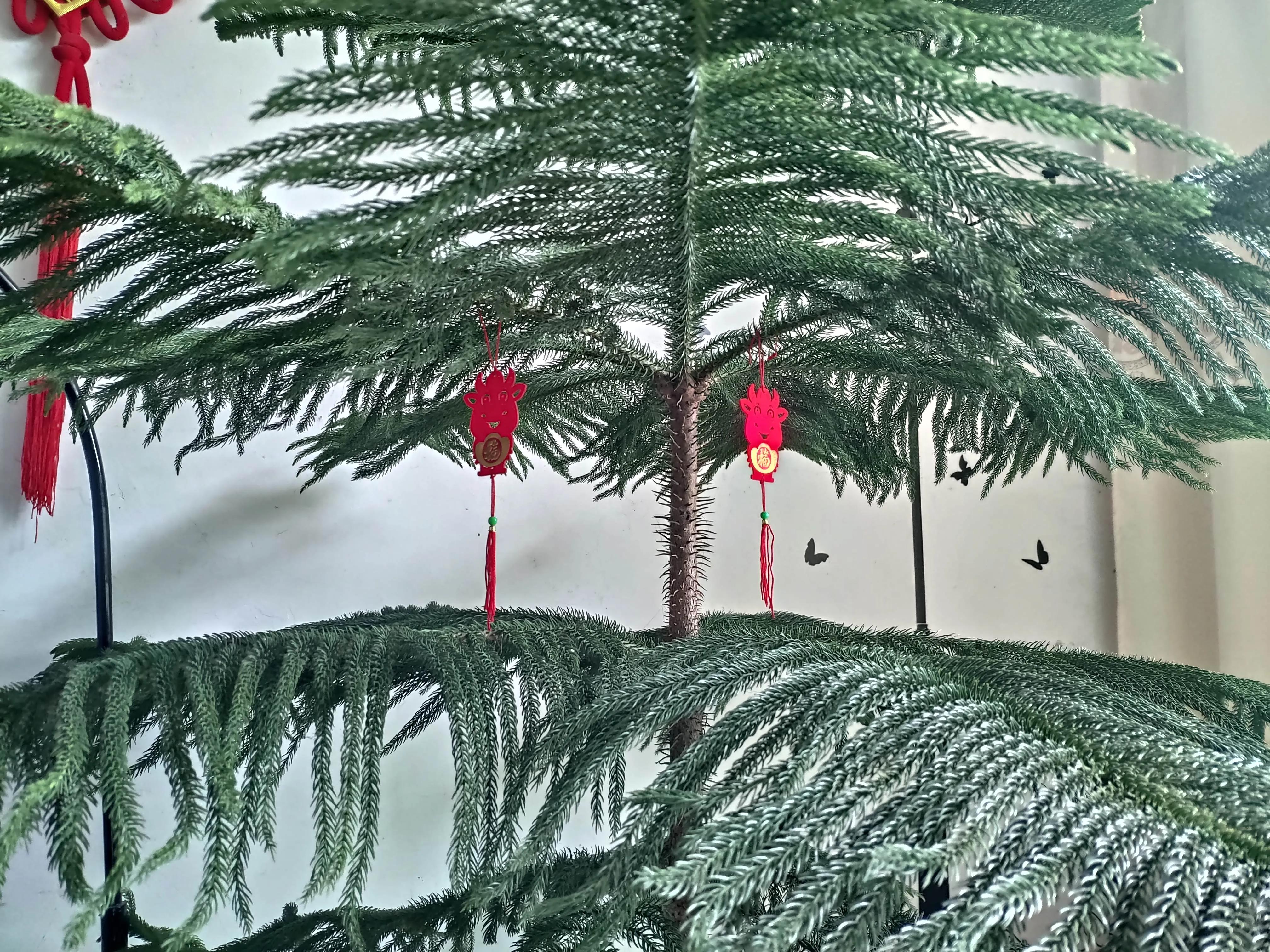 蓝田县旅游发展总体规划,西安蓝田的发展