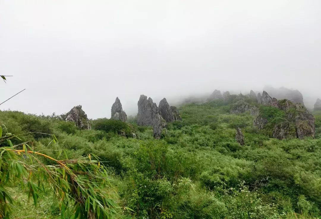 神农架攻略书,重庆出发神农架三日自驾游攻略