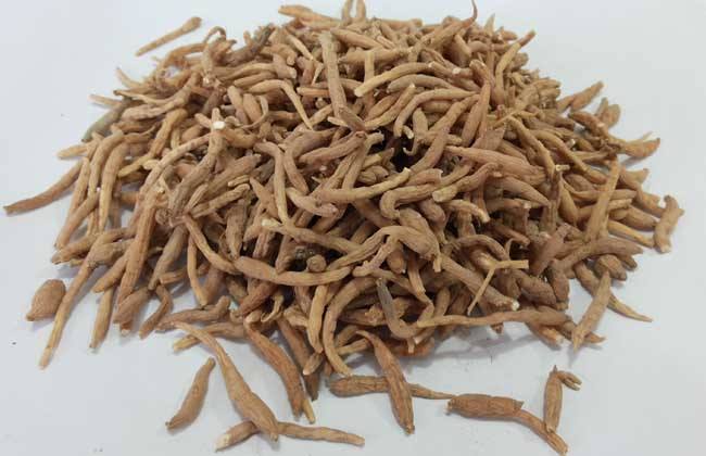 中药太子参,补气药中清补之品,益气不升提,生津不助湿.