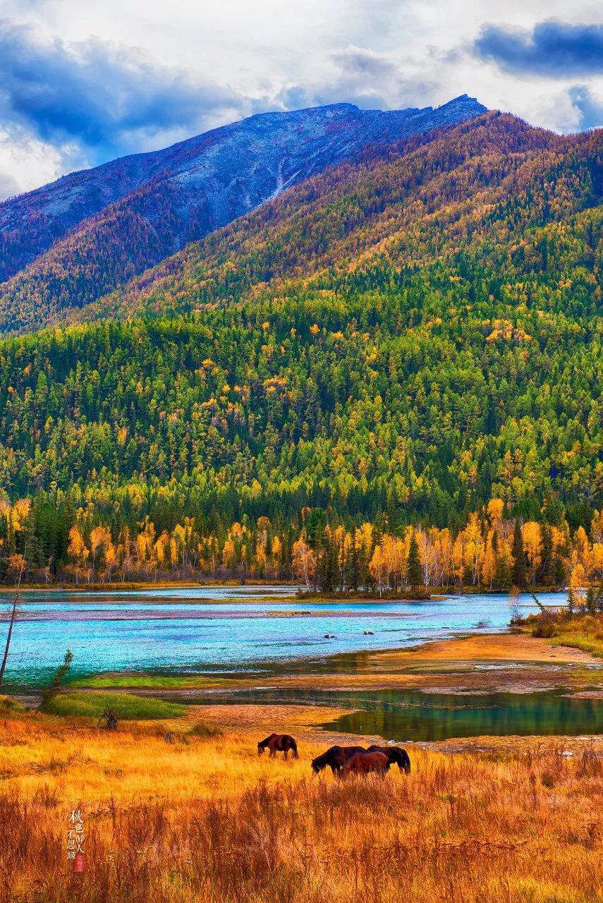 涓嶈兘鍘诲鍦扮殑鐞嗙敱,浜旂浜轰笉鑳藉幓鐤嗗唴鏃呮父