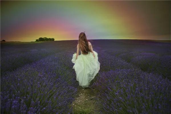 怎样拍好薰衣草照,如何拍紫色薰衣草