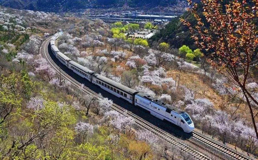 华北超豪华大学：宿舍空调暖气、阳台一应俱全，还坐拥6大网红餐厅！