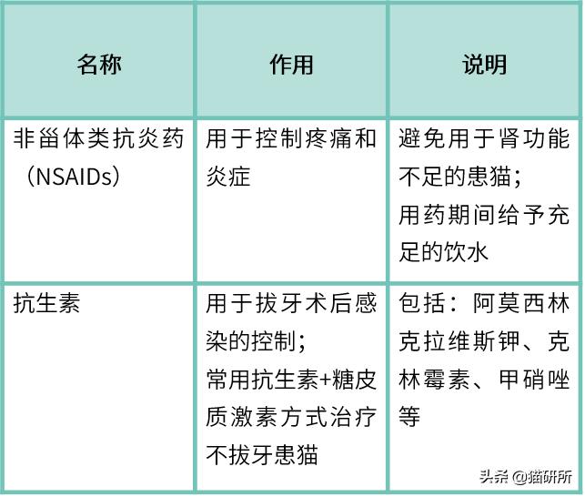 有100只猫该咋办,猫舍的猫全部得口炎了怎么办呢