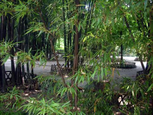 成都望江楼公园简介,成都望江楼公园要门票吗