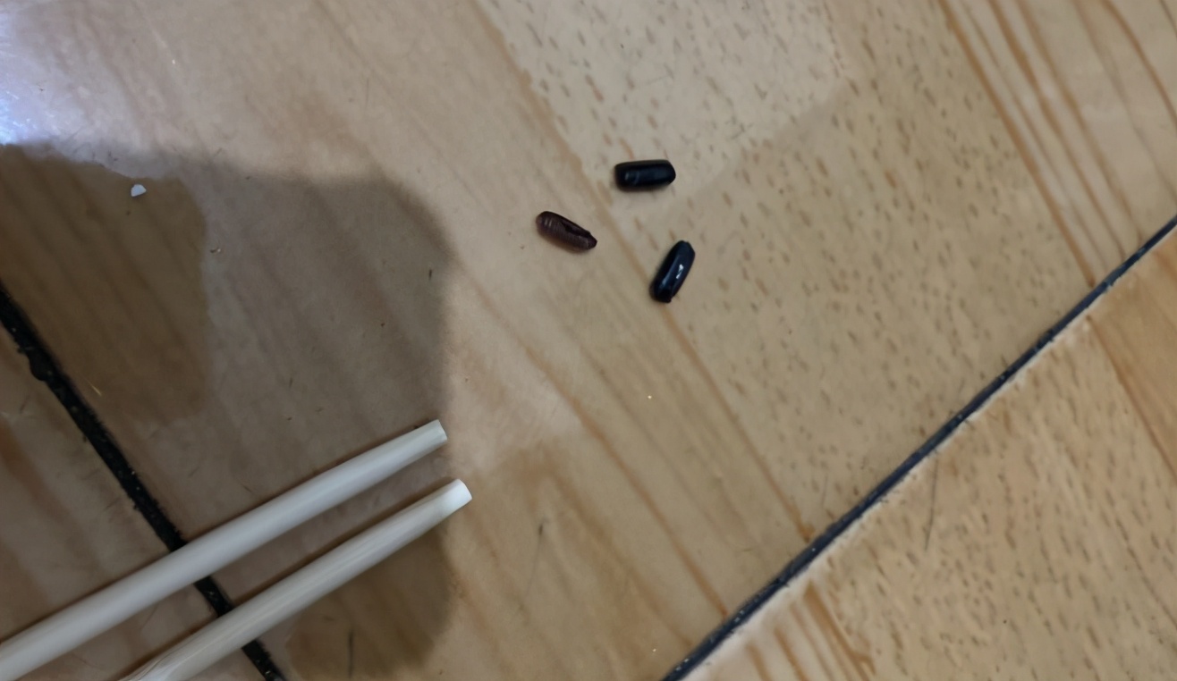 怎样防止蟑螂最好的方法,蟑螂怕什么怎样消灭蟑螂