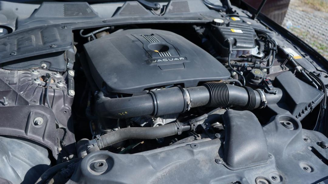 d级车捷豹,捷豹d级车最新报价