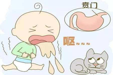 怎么判断宝宝是呕吐还是溢奶,吐奶溢奶和呕吐