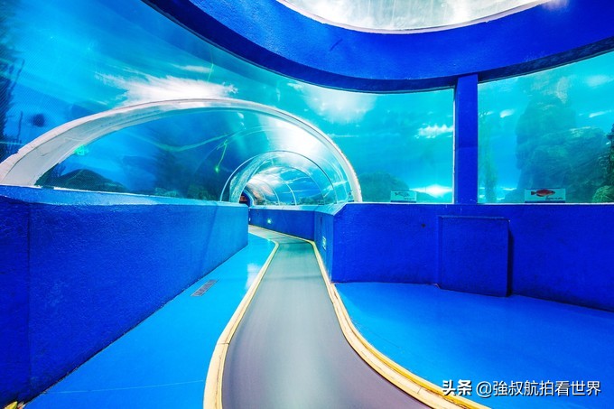 青岛黄岛旅游景点攻略,青岛必去的10大免费景点城阳区