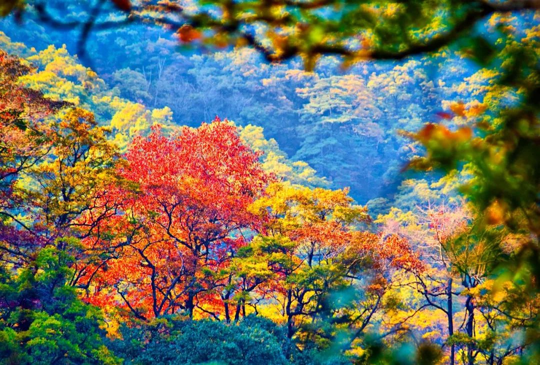 六安天堂寨免门票政策,天堂寨六安户口免费游