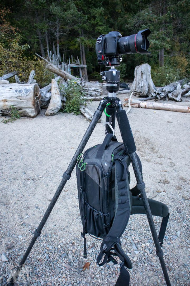 新手入门摄影买什么相机三脚架,摄影新手必学的6个技巧