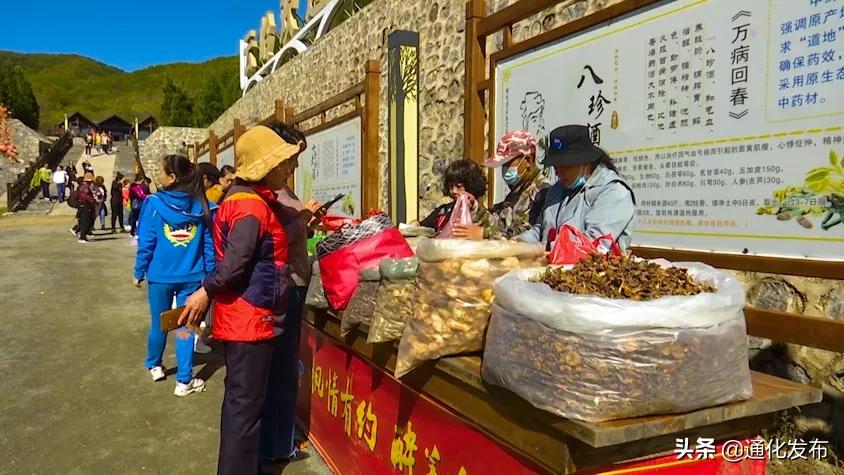 枫姿正好共赴一场云岭之约