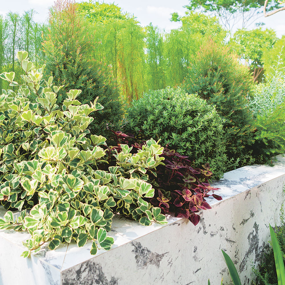 分享中外庭院中的凉亭设计,日式庭院凉亭方案设计