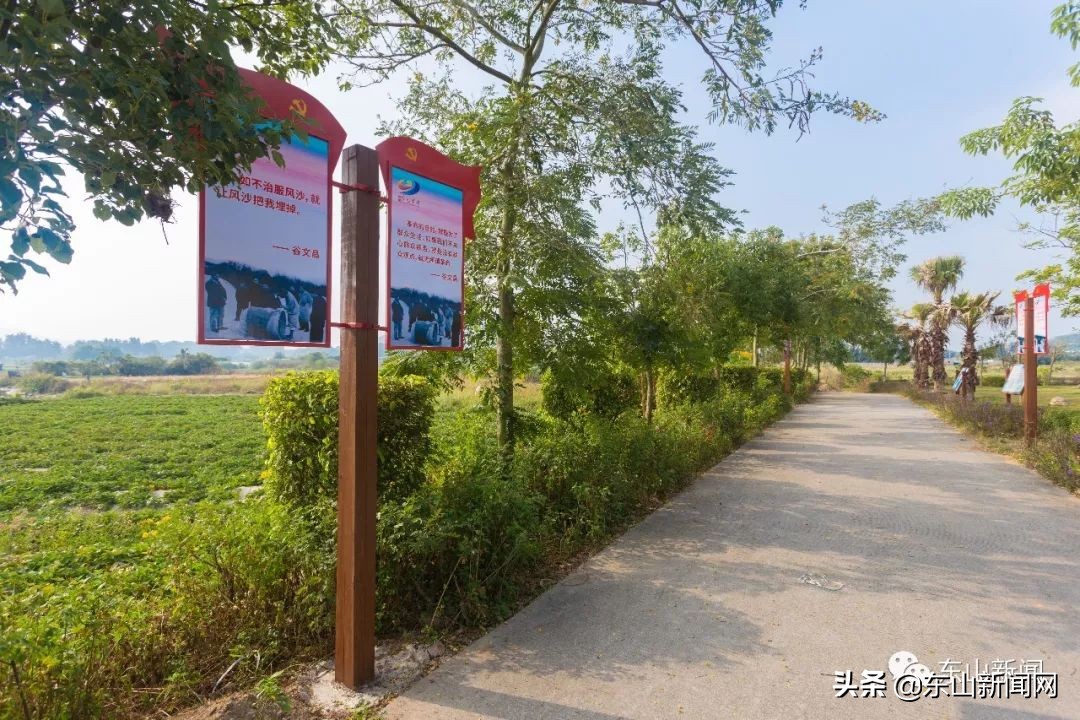 漳州东山红色教育基地有哪些,东山镇红色教育基地