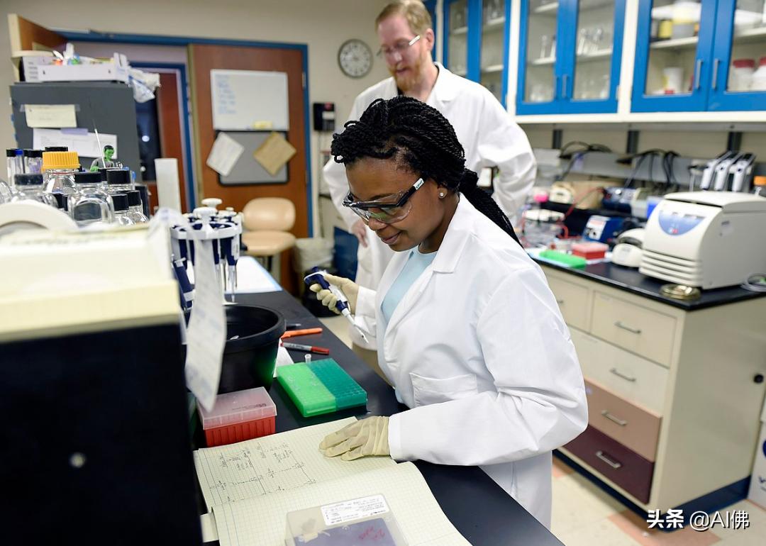 美国赚钱最多的大学专业