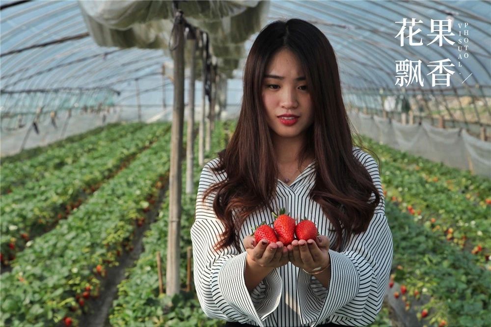 从15万*款贷**到15亿产值，一位基层农技员是如何撬动一方产业？