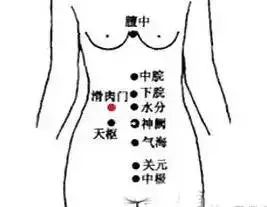 送给中老年朋友的拍打穴位操,人体穴位拍打操30分钟健身操视频