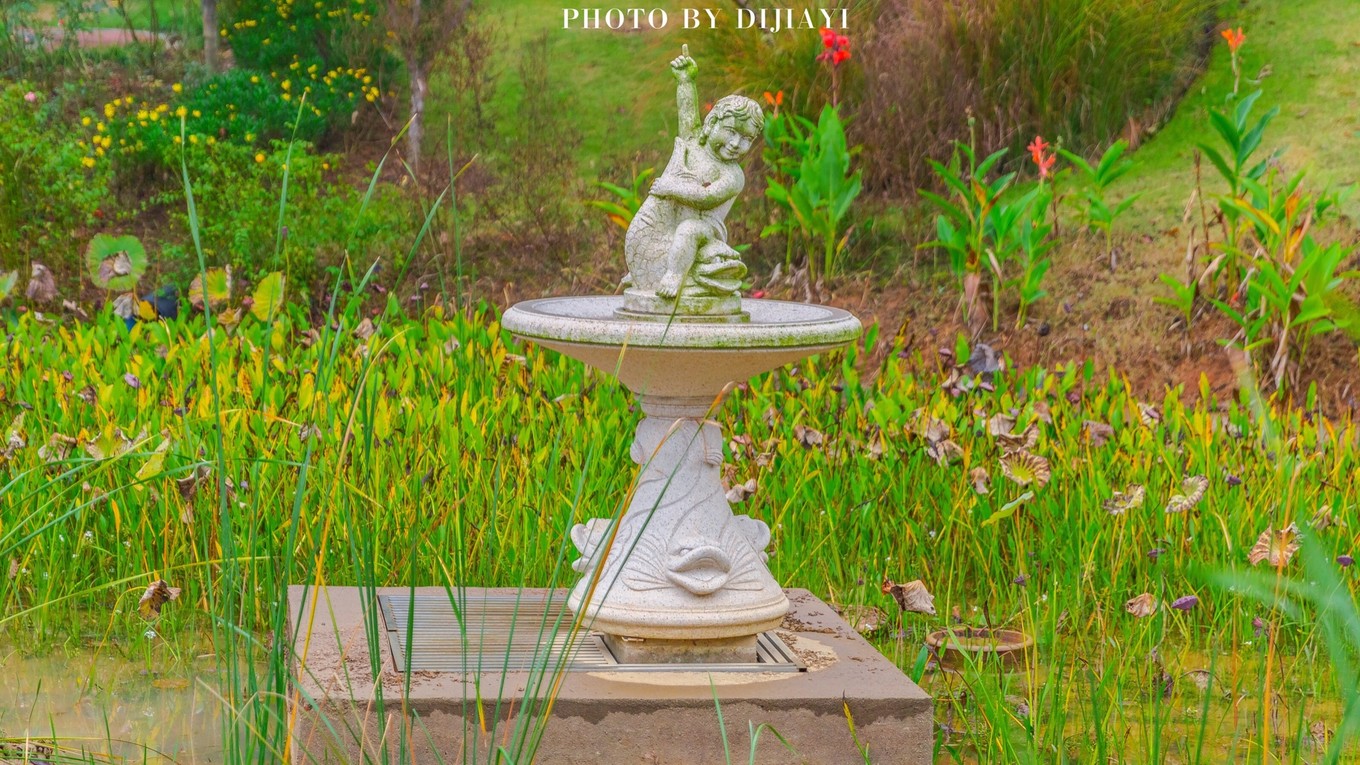 金坛花谷奇缘有什么地方值得打卡,金坛花谷奇缘赏花攻略