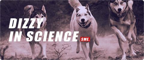 如果要找工作，你家傻狗除了卖萌还能干什么？