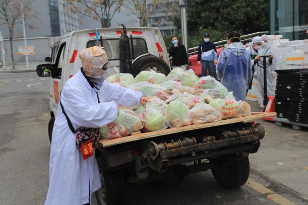 猫管家志愿者,猫管家的工作是什么