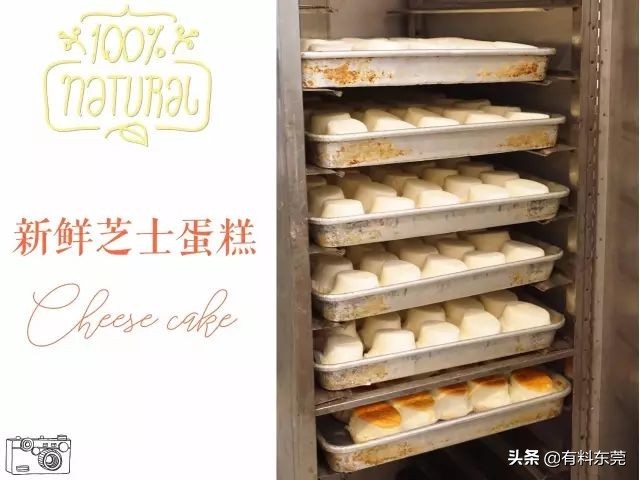 东莞最好吃的芝士蛋糕,东莞芝士味蛋糕推荐