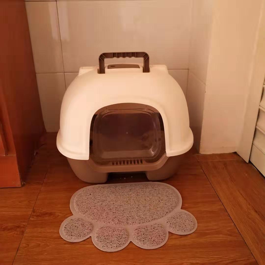 为啥猫脏,养猫怎么保持猫咪干净家庭干净