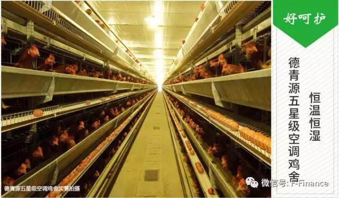 德青源a级鲜鸡蛋可以生吃吗,德青源和正大鸡蛋哪个好