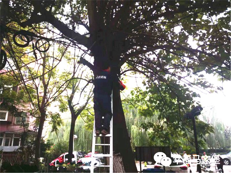 多措并举社区教育工作,街道四措并举主题教育