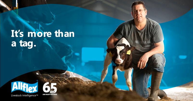 牧场的数据采集,奶牛场繁育数据分析教程