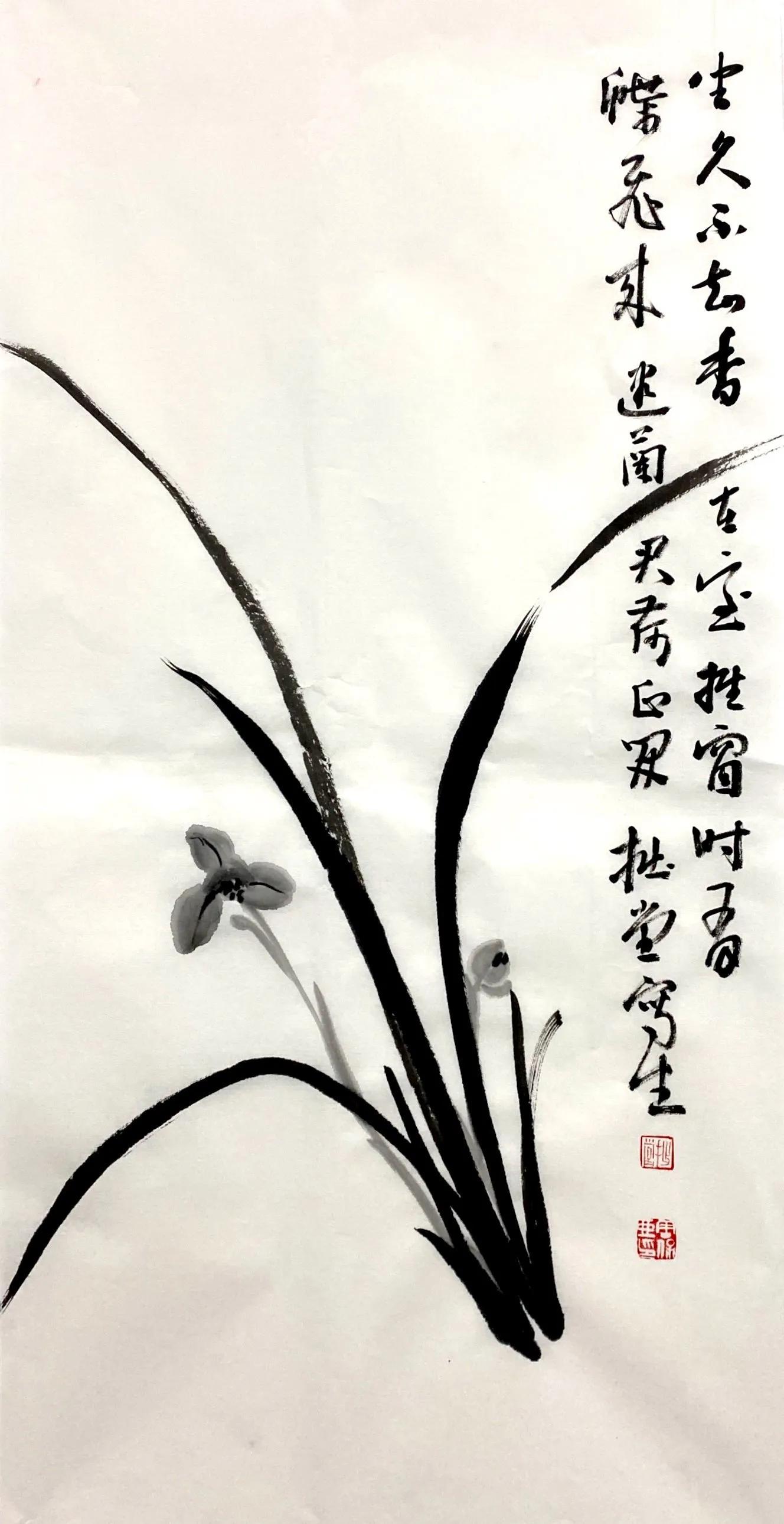 国画写意兰花作品图片欣赏,国画兰花欣赏精品