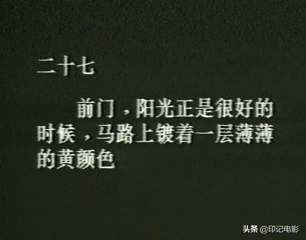 贾樟柯的经典农村电影,贾樟柯微电影过年