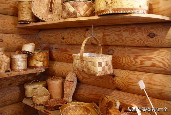 什么树长出桦树茸,除了白桦树还有什么树会长虫子