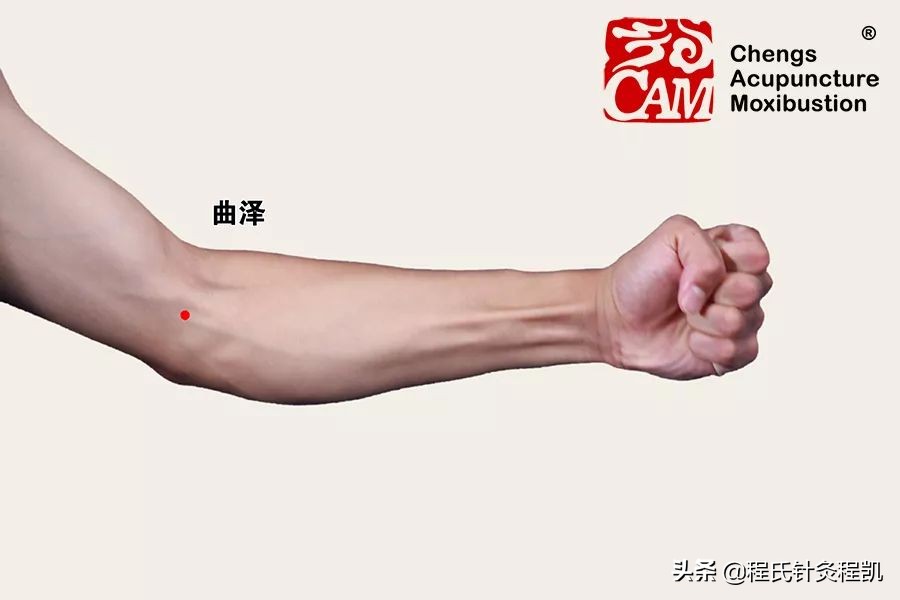 中医证型：脾胃湿热是怎么回事，该如何调理？