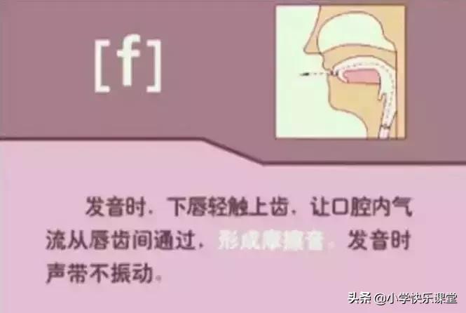 48个国际音标的发音口型视频图,英语48个音标发音口型视频