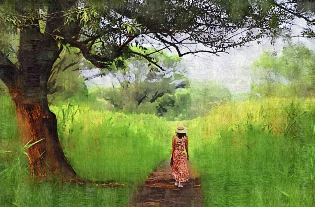 淮安生态环境保护摄影比赛,摄影大师在淮安