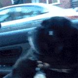 晕车晕得想吐,晕车晕到怀疑人生吐得一塌糊涂