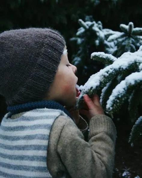 她放弃城市生活,一家人搬到乡下田园:自给自足