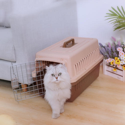 猫咪第一次用猫包注意什么,猫咪自制包