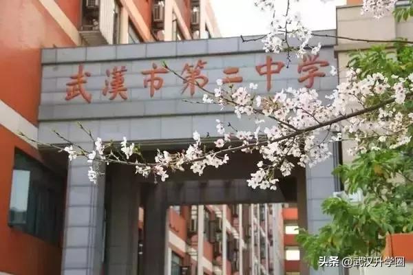 武汉十大土豪学校排名,武汉十大土豪学校