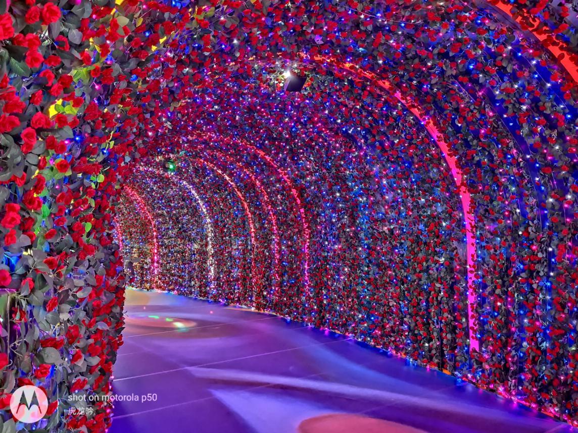 摩托罗拉p50详细参数,摩托罗拉p50测试视频