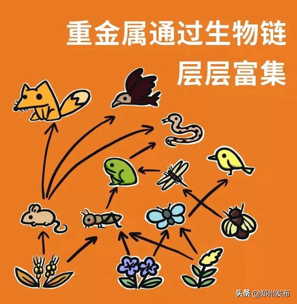 野味都有什么动物,哪些动物属于野味