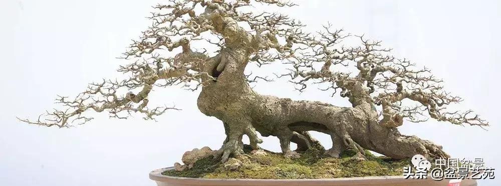 鏈存爲寰楀鐩嗘櫙,椤剁骇鏈存爲鐩嗘櫙娆h祻