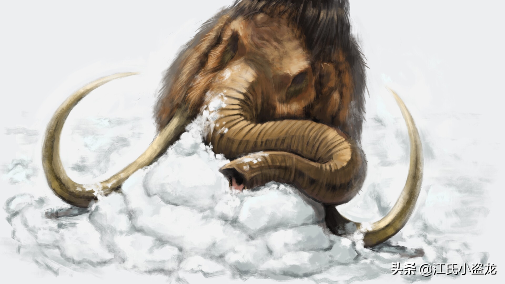 科学家揭秘猛犸象灭绝的真相,历史上的猛犸象被科学家复活了吗