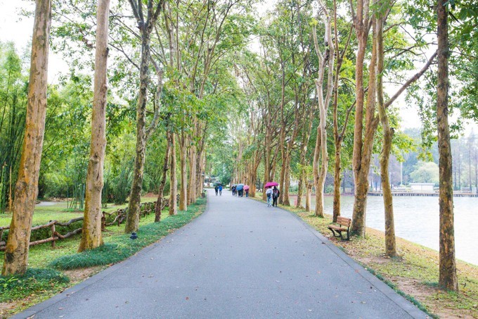 中国出国旅游英语,国内出国旅游英语