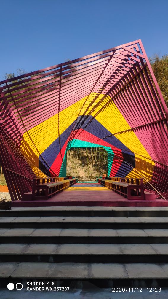 宜兴竹海十一月金色素材图片