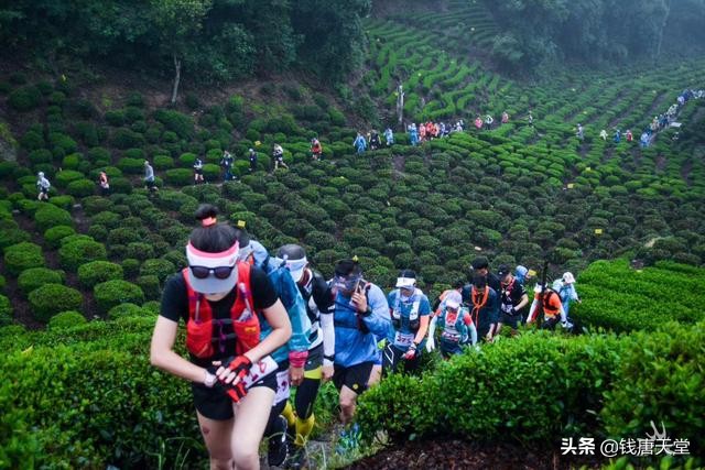 导航把外卖小哥导到深山,外卖小哥被导航到废弃地方