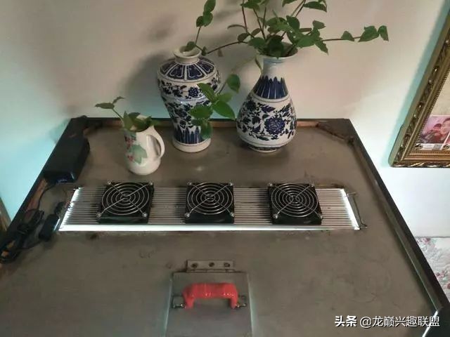 垃圾桶旁边的四方鱼缸,捡回去养了一缸金鱼,别说还挺不错