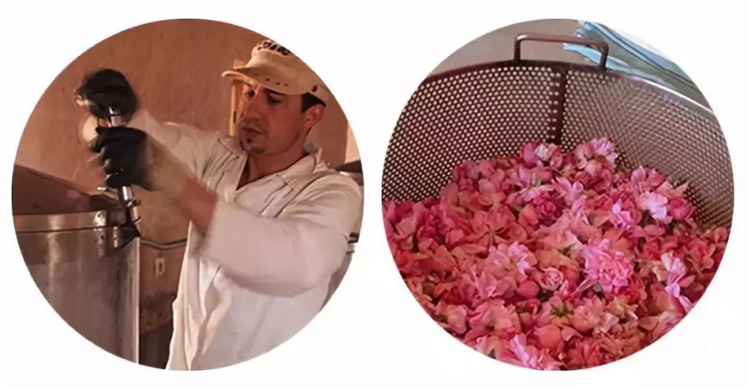 丹泽欧雅化妆品是真的吗,丹泽欧雅