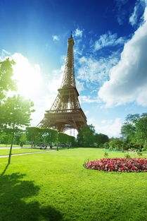 埃菲尔铁塔感人事件 (埃菲尔铁塔的故事动画)